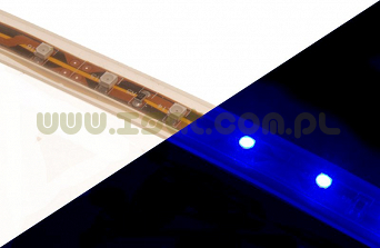 Taśma Led 12V niebieska SMD3528 300szt wodoodporna